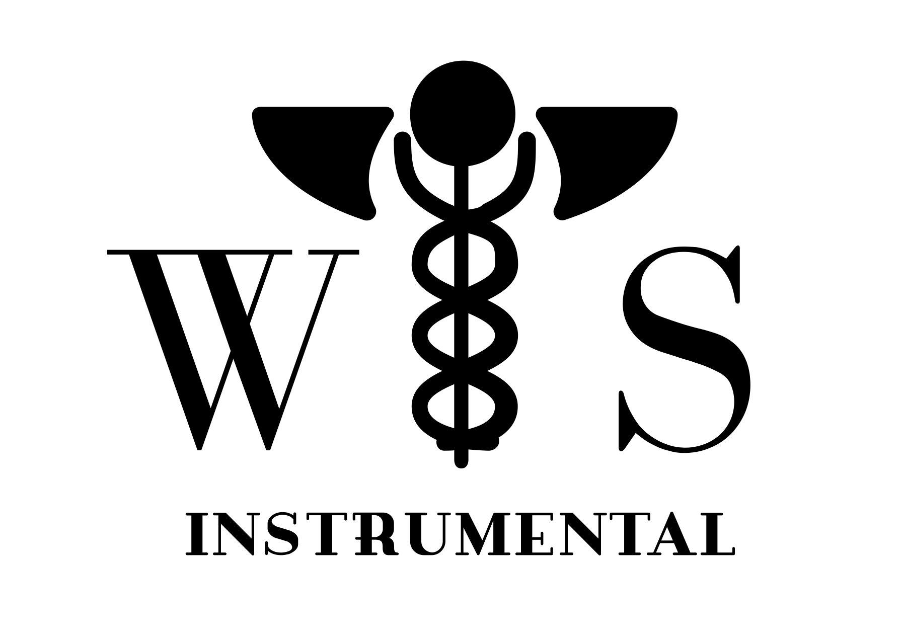 Logo Ws instrumental
